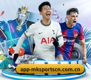 mk体育 APP